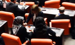 121 kadın Meclis'te:  Kadın vekil oranı 5'te 1 oldu