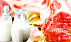 TÜİK’in istatistikleri: Süt üretimi azaldı, kırmızı et arttı