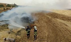 Urfa'da 60 ton saman yandı