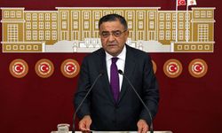 CHP Diyarbakır Milletvekili Tanrıkulu’dan hükümete çağrı