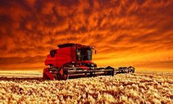 Ukrayna: Tahıl girişimi yine durduruldu