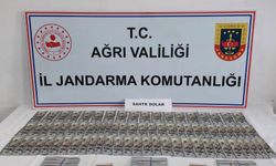 Sahte dolarlar yakalandı