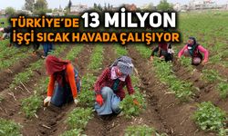 Türkiye’de 13 milyon işçi sıcak havada çalışıyor