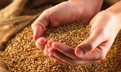 BM'ye göre, tahıl anlaşmasından en fazla AB fayda sağladı