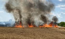 Kırklareli’de 20 günde yaklaşık 500 dönüm buğday tarlası yandı