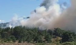 Ula’da orman yangını