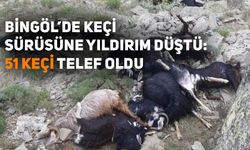 Bingöl’de keçi sürüsüne yıldırım düştü: 51 keçi telef oldu