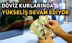 Döviz kurlarında yükseliş devam ediyor