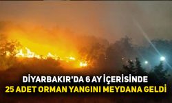 Diyarbakır'da 6 ay içerisinde 25 adet orman yangını meydana geldi