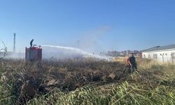 50 dönümlük buğday ekili arazinin yanması önlendi