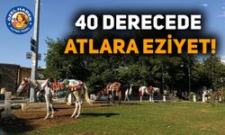 40 derecede atlara eziyet!