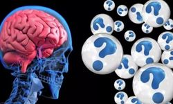 Bilimsel araştırma: Kabızlık ve Alzheimer arasında ilişki kuruldu