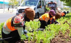Diyarbakır'da 1 milyon 520 bin çiçek toprakla buluştu
