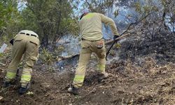 Siirt'teki orman yangını 52 saatin sonunda söndürüldü