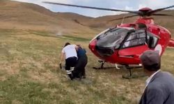 Van'da arının soktuğu kadın ambulans helikopterle hastaneye kaldırıldı