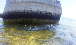 Van Gölü'nde Kayı tamgalı ve haç işaretli taşlar bulundu