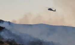 Bingöl’deki orman yangını kontrol altına alındı, soğutma çalışmaları yapılıyor