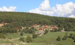 Erzincan’ın yeşil cenneti: Dumanlı Tabiat Parkı