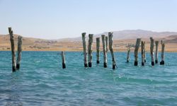 Van Gölü'nde sular çekildi, 100 yıllık iskele ortaya çıktı