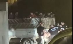 Artvin’de bir kamyonet dolusu Afgan göçmene gözaltı