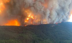Kanada yanıyor: British Columbia'da acil durum ilan edildi