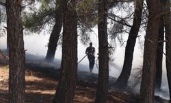 Kahramanmaraş’taki orman yangınında bir kişi gözaltına alındı