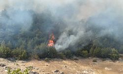 Çan’da orman yangını