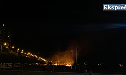 Diyarbakır Park 75’te anız yangını paniği