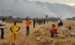 Hani’deki orman yangını devam ediyor