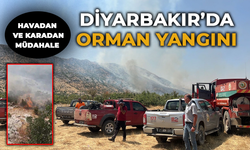 Diyarbakır’da orman yangını