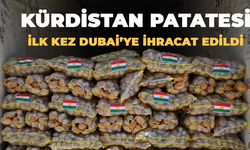 Kürdistan patatesi ilk kez Dubai’ye ihracat edildi