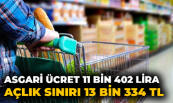 Asgari ücret 11 bin 402 lira, açlık sınırı 13 bin 334 TL