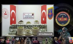 Diyarbakır’da “Narkoterör Operasyonu”