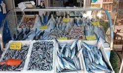 Tezgahlarda balık fiyatları belli oldu