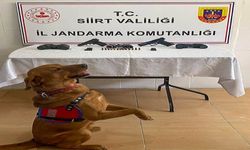 Siirt’te silah kaçakçılarına operasyon