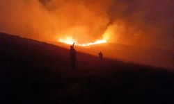 Varto’da anız yangını