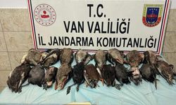 Van'da kaçak yaban ördeği avlayanlara ceza