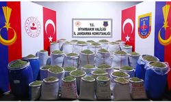 Lice'de 1 ton 319 kilo esrar ele geçirildi