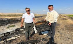 Kahramanmaraş'ta 150 arı kovanı yandı