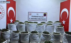 Lice’de 783 kilo esrar ele geçirildi