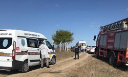 Ağaca asılı erkek cesedi buldu