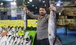 Tescilli ciğer kenti Diyarbakır’da balık rüzgarı