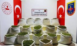 Diyarbakır’da 102 milyon kenevir, 47 ton esrar yakalandı