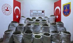  Diyarbakır’da 435 kilo esrar ve 632 bin 120 kök esrar bitkisi ele geçirildi