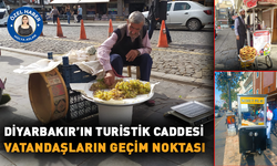 Diyarbakır’ın turistik caddesi vatandaşların geçim noktası