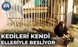 Kedileri kendi elleriyle besliyor