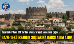 Diyarbakır’daki  STK’lardan uluslararası kamuoyuna çağrı