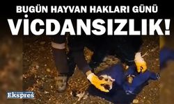 VİCDANSIZLIK!