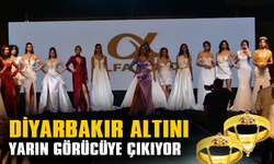 DİYARBAKIR ALTINI YARIN GÖRÜCÜYE ÇIKIYOR