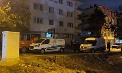 Aynı aileden 5 kişiyi öldüren zanlı tutuklandı